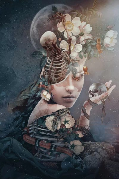 Eye Of The Beholder: Moonlight Beauty by Riza Peker