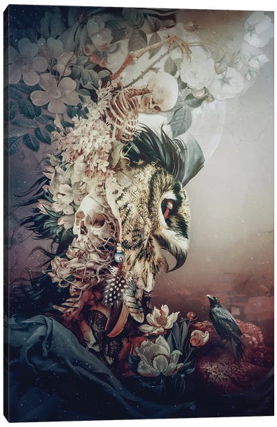 Owl Fantasy Canvas Art Print - Skeleton Art