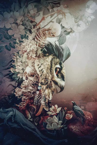 Skeletons: Owl Fantasy by Riza Peker