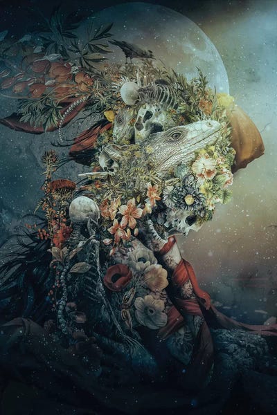 Skeletons: Lizard In Moonlight by Riza Peker