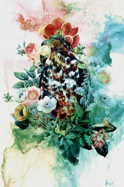 Buzzards & Hawks: Bird In Flowers by Riza Peker