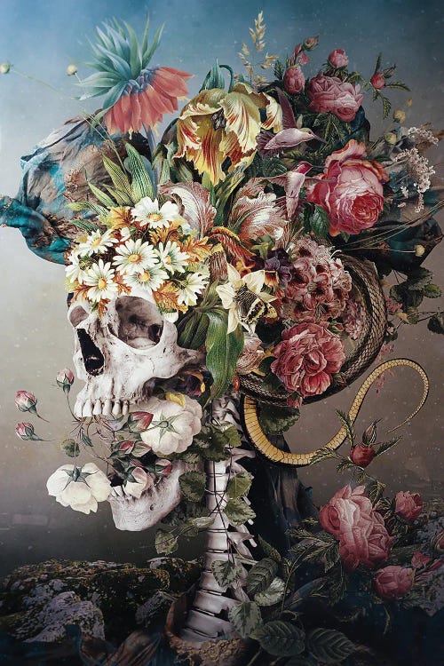 Flower Skull by Riza Peker wall art