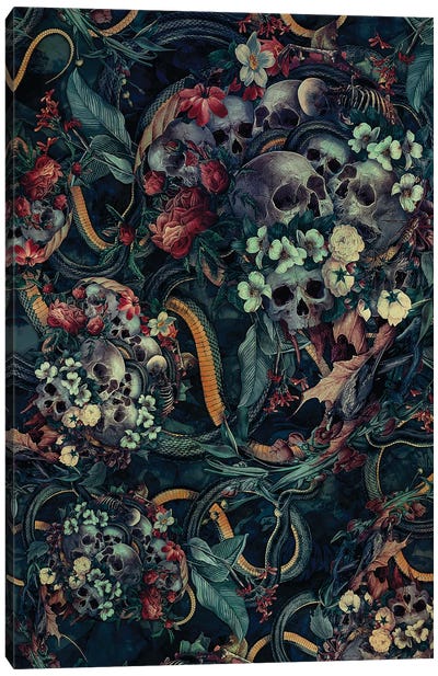 Skulls And Snakes Canvas Art Print - Riza Peker
