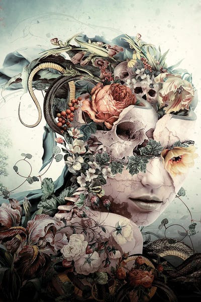 Fractured by Riza Peker art print