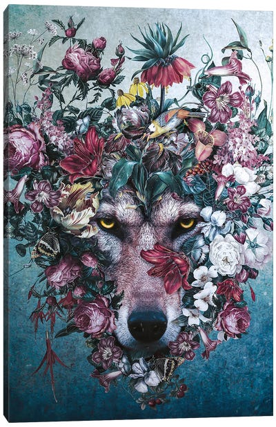 Flower Wolf II Canvas Art Print - Animal Lover