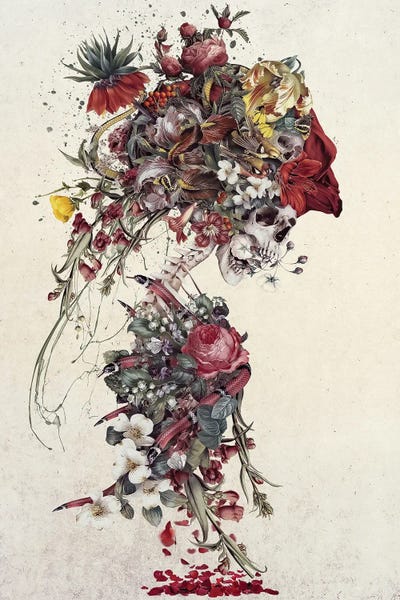 Skulls: Vintage Skull by Riza Peker