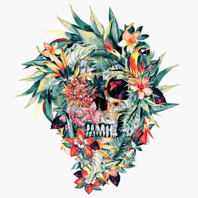 Momento Mori V by Riza Peker framed canvas print