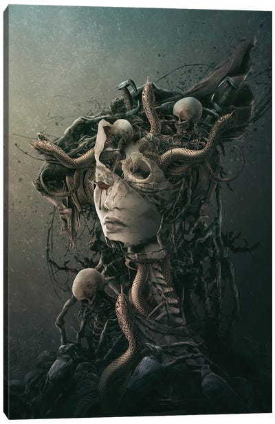 Skull Queen XVI Canvas Art Print - Horror Art