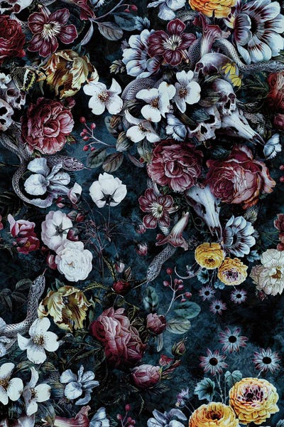 Snakes: Night Garden Snakes by Riza Peker