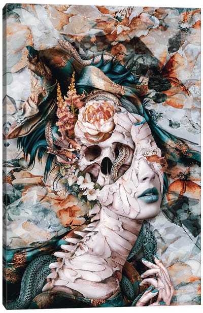 Queen Of Snakes II Canvas Art Print - Skull Art