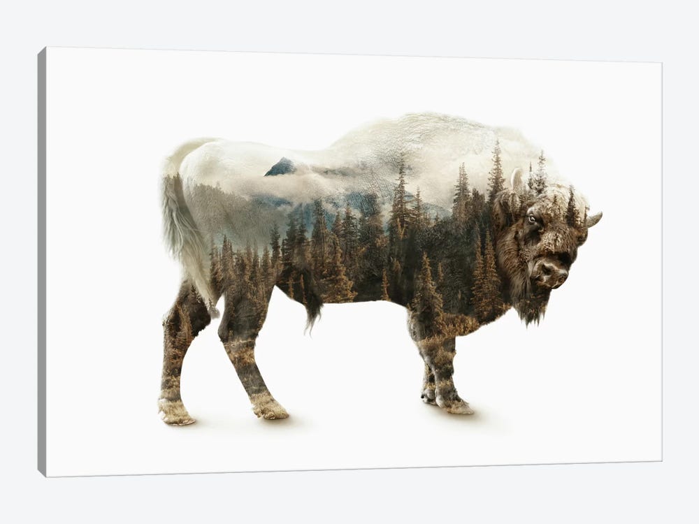 Bison by Riza Peker 1-piece Canvas Wall Art