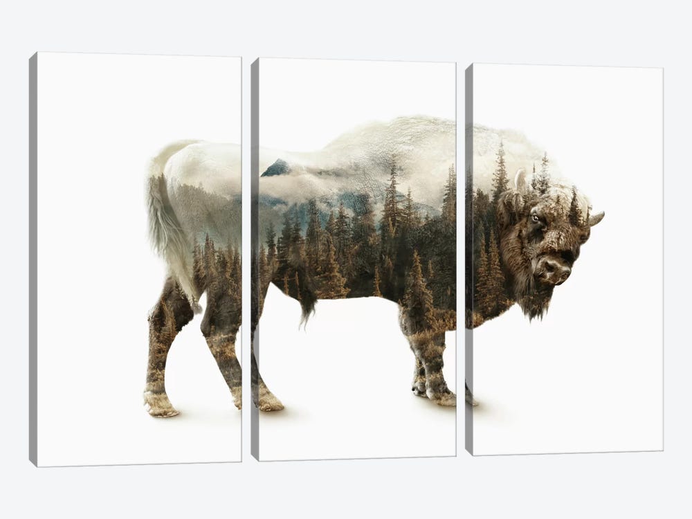 Bison by Riza Peker 3-piece Canvas Wall Art