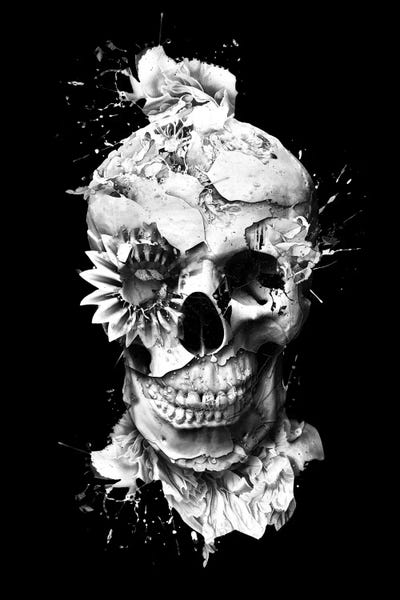 Skulls: Skeleton by Riza Peker