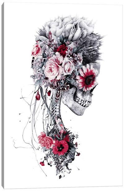 Skeleton Bride Canvas Art Print - Halloween Art