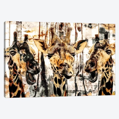 Giraffes Canvas Print #PEK45} by Riza Peker Canvas Print