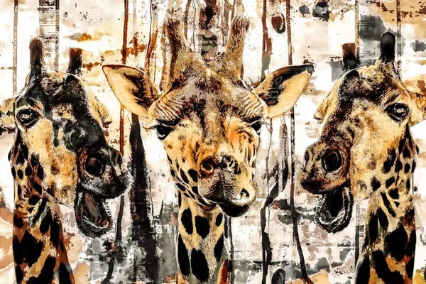 Giraffes: Giraffes by Riza Peker