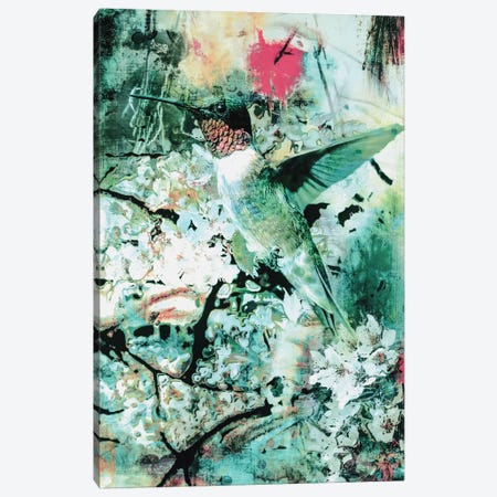 Hummingbird Canvas Print #PEK46} by Riza Peker Canvas Print