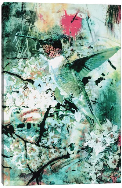 Hummingbird Canvas Art Print - Riza Peker