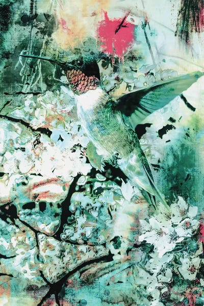 Hummingbirds: Hummingbird by Riza Peker