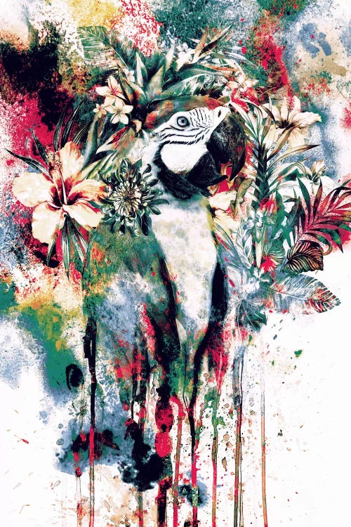 Parrot