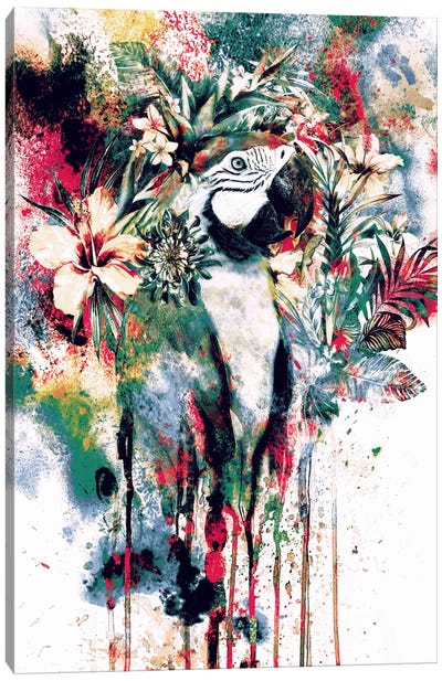Parrot Canvas Art Print - Riza Peker