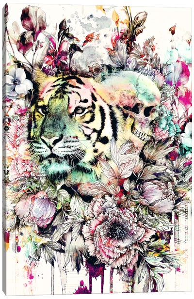 Tiger VI Canvas Art Print - Tiger Art