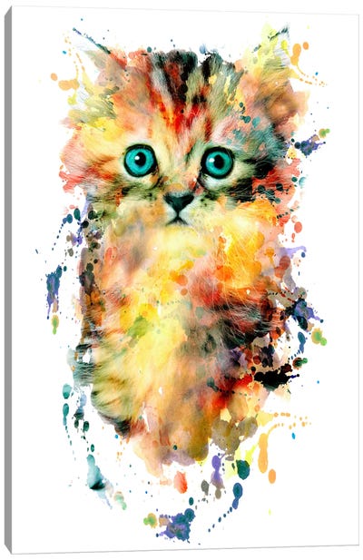 Kitten Canvas Art Print - Riza Peker