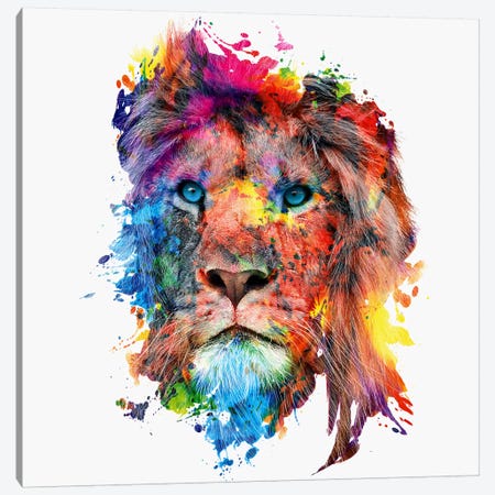 Lion Canvas Print #PEK50} by Riza Peker Art Print