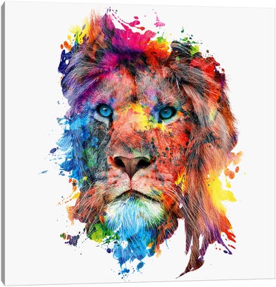 Lion Canvas Art Print - Riza Peker
