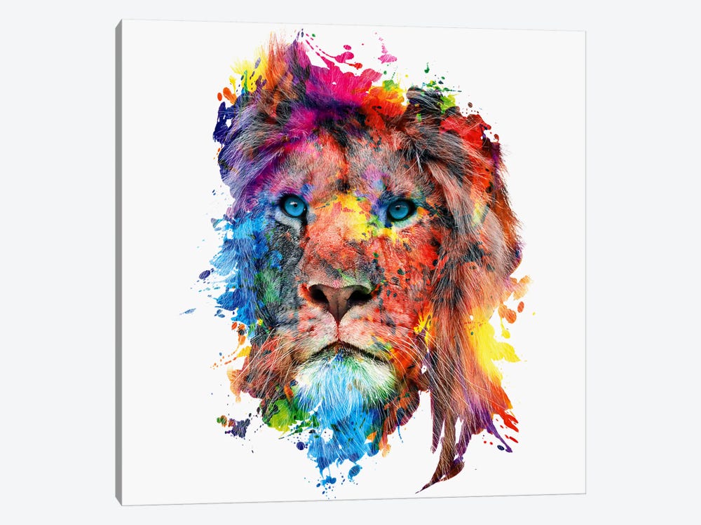 Lion Canvas Art Print Riza Peker |
