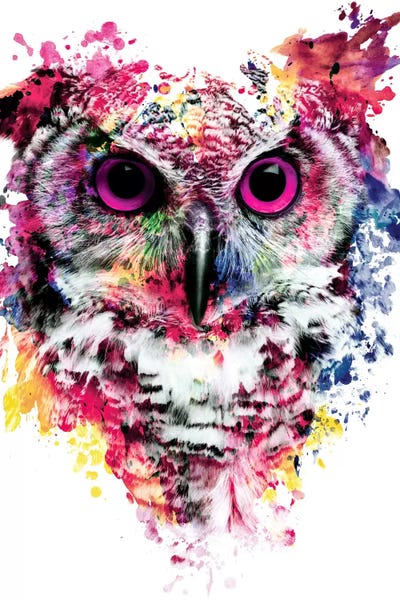 Owl I by Riza Peker multi panel art