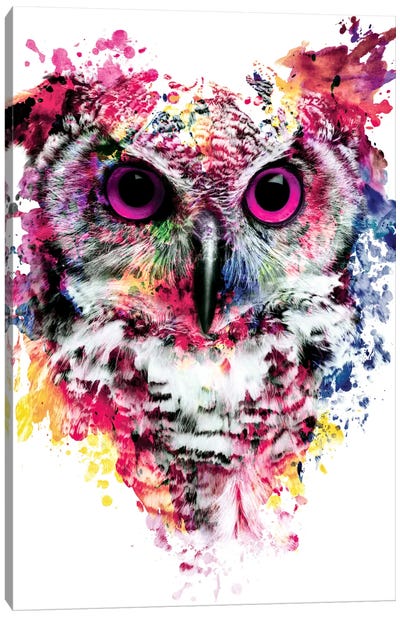 Owl I Canvas Art Print - Riza Peker