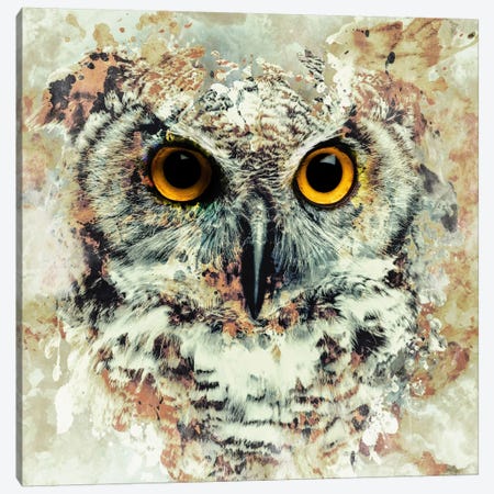 Owl II Canvas Print #PEK54} by Riza Peker Canvas Art