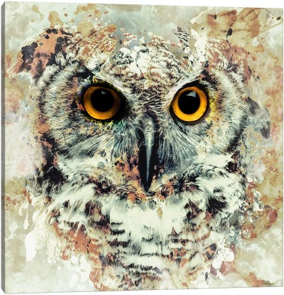 Owl II Canvas Art Print - Rustic Décor