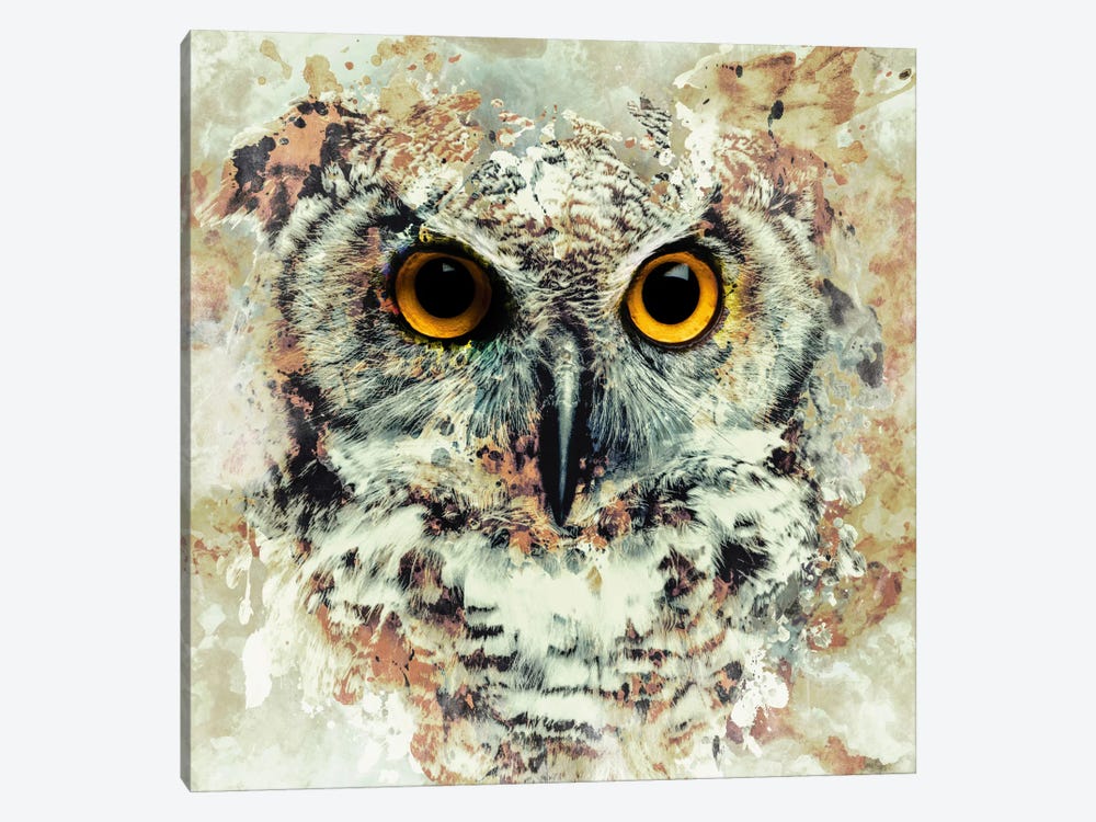 Owl II by Riza Peker 1-piece Canvas Artwork