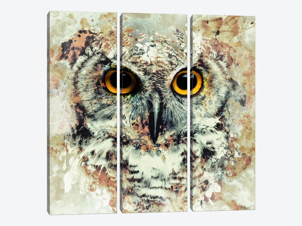 Owl II by Riza Peker 3-piece Canvas Artwork