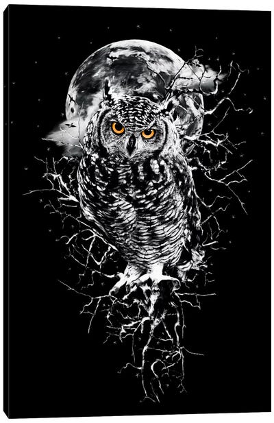 Owl In B&W Canvas Art Print - Owl Art