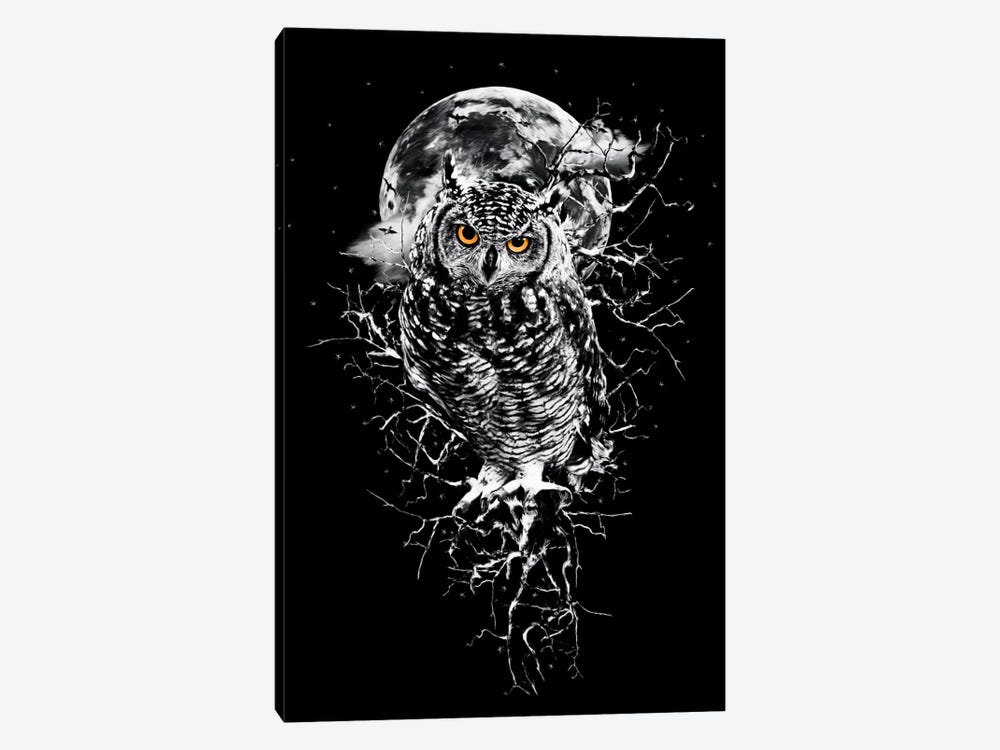 Owl In B&W by Riza Peker 1-piece Art Print