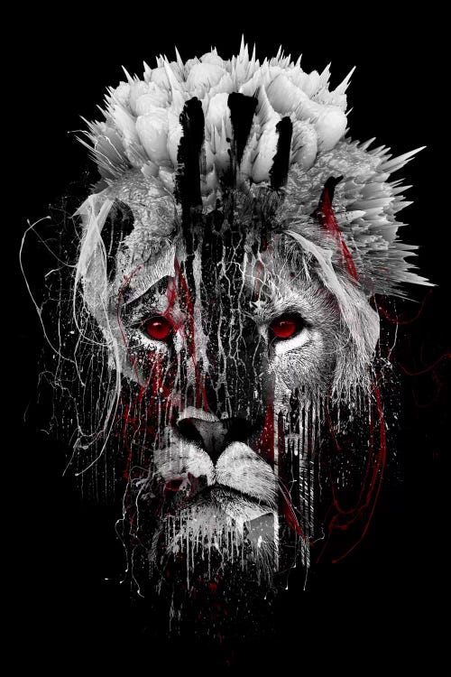 kupon Røg kursiv Red-Eyed Lion Canvas Art by Riza Peker | iCanvas