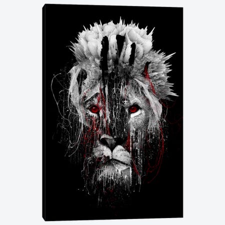 Red-Eyed Lion Canvas Print #PEK56} by Riza Peker Canvas Art