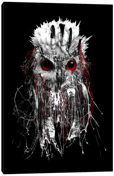 Red-Eyed Owl Canvas Art Print - Black, White & Red Art