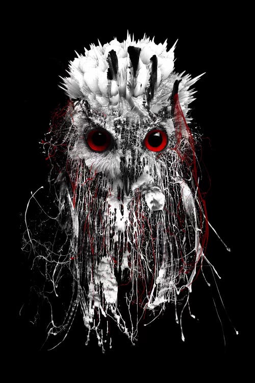 Red-Eyed Owl by Riza Peker wall art