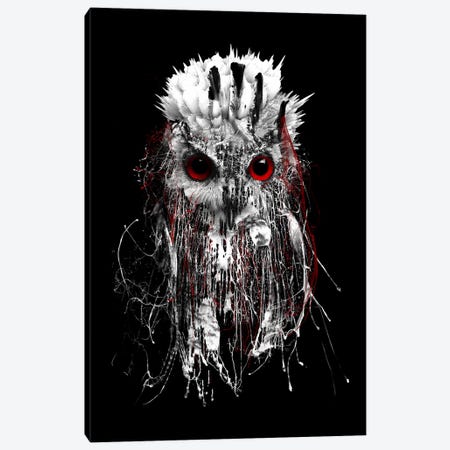 Red-Eyed Owl Canvas Print #PEK57} by Riza Peker Canvas Wall Art