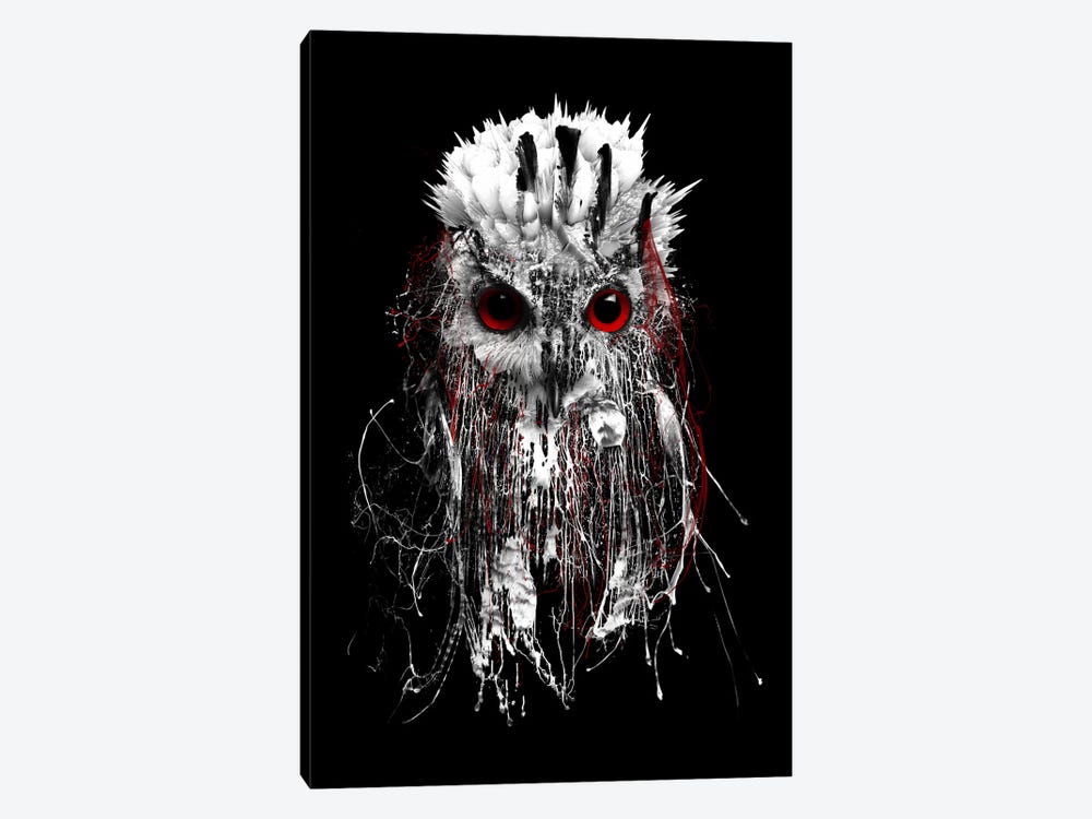 Red-Eyed Owl by Riza Peker 1-piece Canvas Print