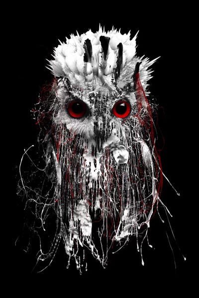Black & White & Red: Red-Eyed Owl by Riza Peker