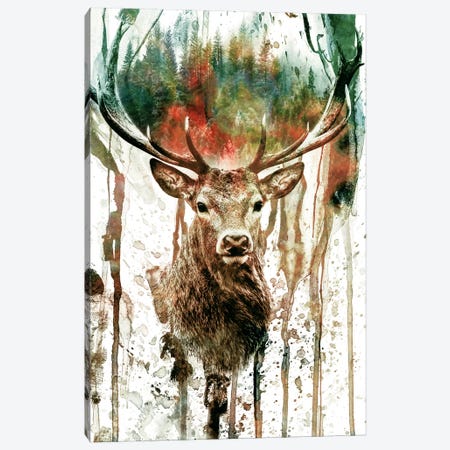Deer I Canvas Print #PEK5} by Riza Peker Art Print