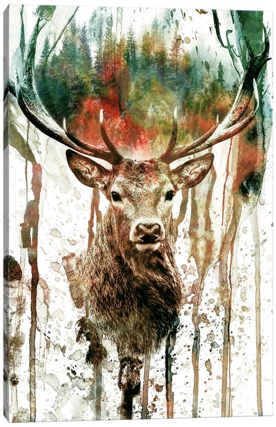 Deer I Canvas Art Print - Rustic Décor