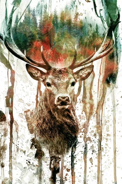 Rustic Décor: Deer I by Riza Peker