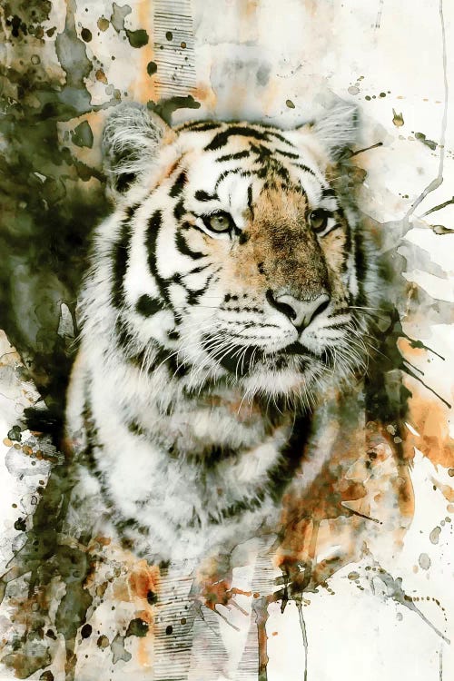 Tiger I by Riza Peker wall art