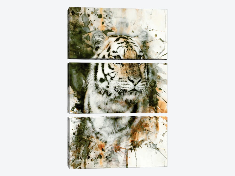 Tiger I by Riza Peker 3-piece Canvas Artwork